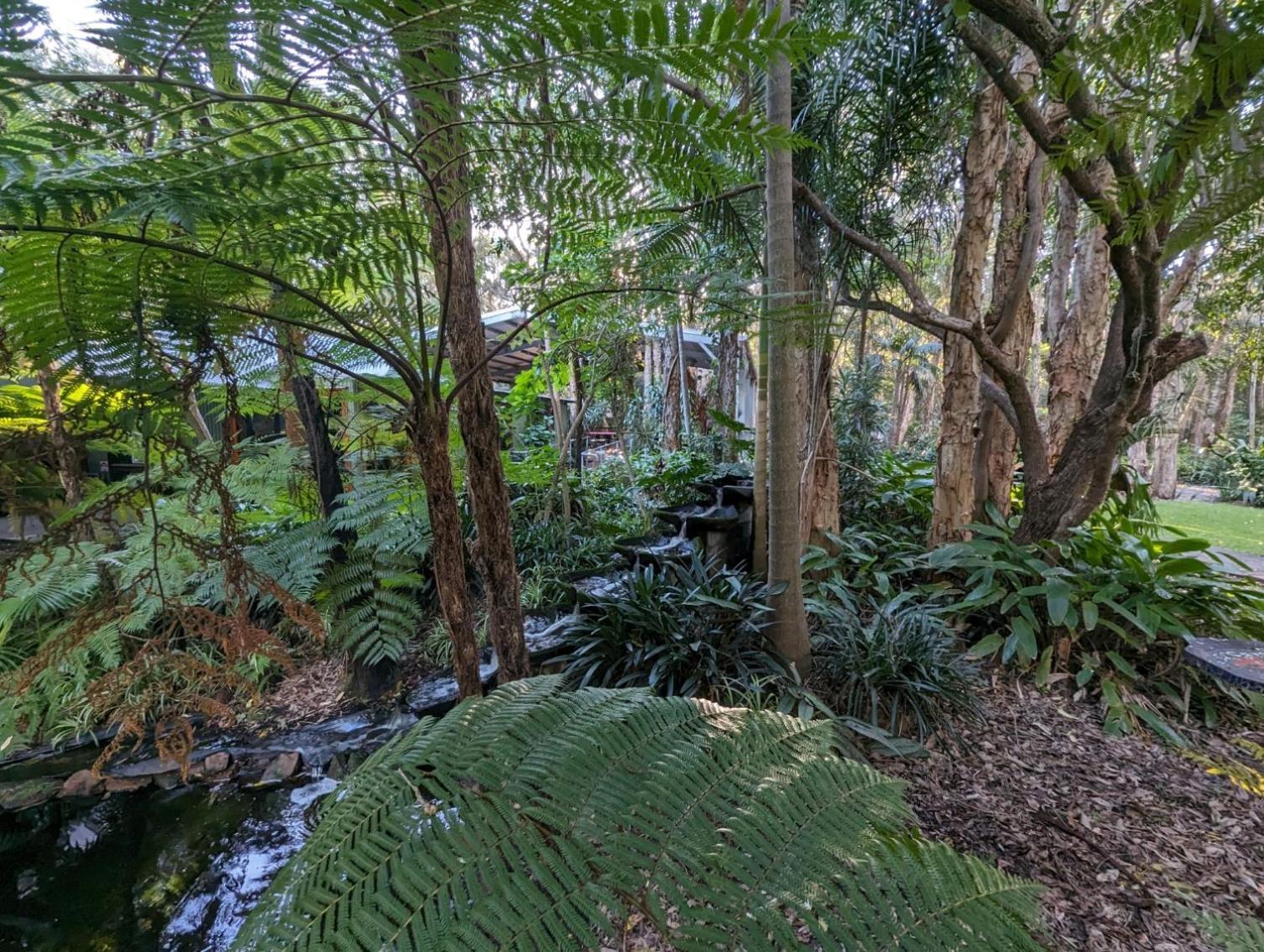 Aparthotel The Oasis At One Mile Beach Nelson Bay Exterior foto